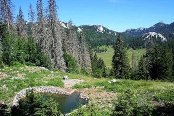 8. NP Sjeverni Velebit 