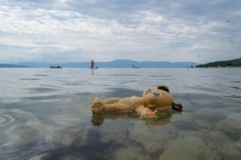 3. Njivice Krk Der kleine Bär schwimmt nass im Meer 