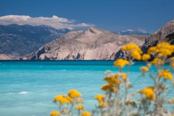 5. Blumen Farbtupfer am Strand in Baska auf der Insel Krk 