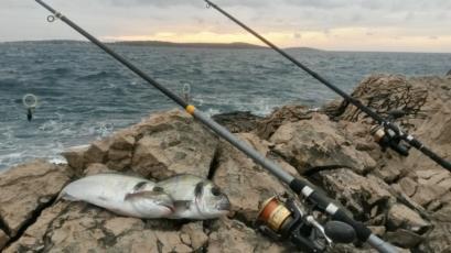 Angeln in Kroatien - Infos und Geheimtipps zum Fischen in der Adria